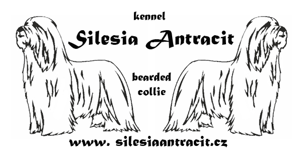 log Silesia Antracit